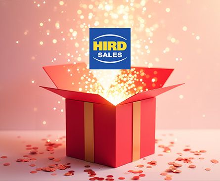 Advent Christmas Box openings