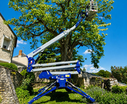 Octoplus 21 tree cutting-thumbnail