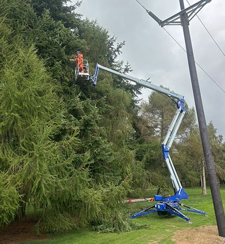 Distressed trees need to be cut more carefully from the top down to ensure they’re not harmed further. This is why the Octoplus 21 spider lift will be perfect for us.